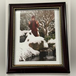 Gurumayi Chidvilasananda Framed Photo Photograph Siddha Yoga